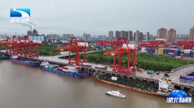 2025年阳逻港外贸箱量运量双创新高