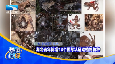 湖北去年新增13个国际认证动植物物种