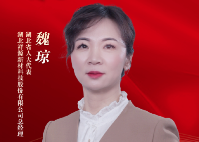 代表委员履职记 | 魏琼：推动返乡人员高质量就业 为乡村振兴注入持久动力