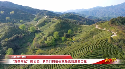 我是共产党员 “黄茶书记”梁云英：乡亲们的信任就是我前进的力量