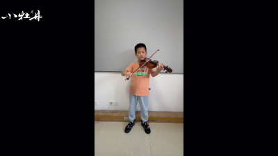 小牡丹—《维尔瓦第a小调协奏曲》