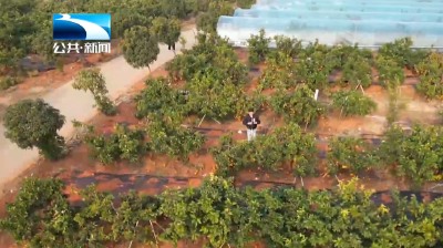 我为群众办实事 | 培训1.1万人次 就业率70%！技能赋能就业见实效