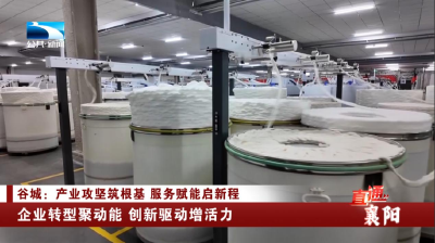 襄阳谷城：企业转型聚动能 创新驱动增活力
