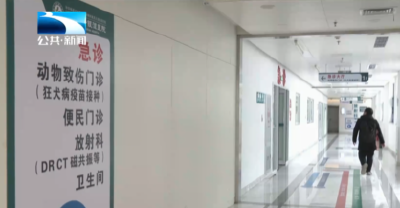 健康小贴士 | 猫抓狗咬别大意 科学处理保平安