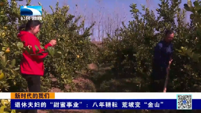 新时代的我们 | 退休夫妇的“甜蜜事业”：八年耕耘荒坡变“金山”