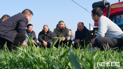 襄阳南漳：“人防+技防”齐上阵打响农作物越冬“保卫战”