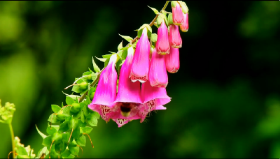 【测试】测试文章稿件发布测试