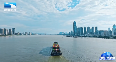 向高而攀的湖北 | 构建全周期服务体系 全年为企业减负超千亿元