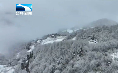 2026年1月18日长江新闻