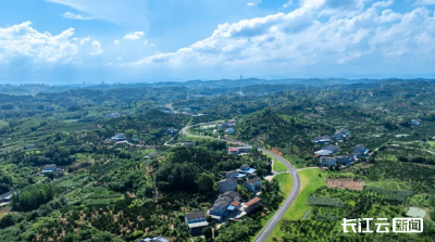 湖北省新争取国家绿色发展基金投资4.8亿元助力宜昌打造城市绿色客厅