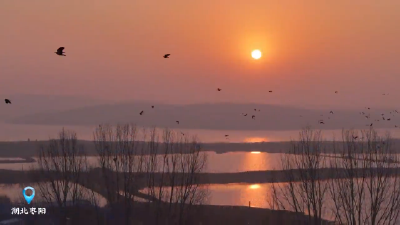 湖北枣阳：碧水晴空处，鸟鸣绘和谐
