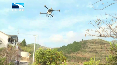 恩施巴东：低空“飞防”护柑橘 16万亩果园用上无人机统防统治