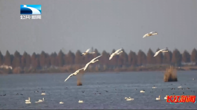 2026年1月27日长江新闻