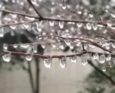 雨雪冰冻天气进入影响最强时段！这份防御指南请收好