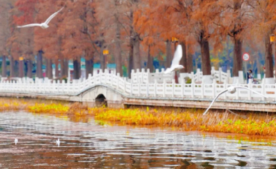 今晨湖北多地气温创入冬以来新低 未来三天转晴升温