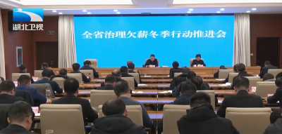 全省治理欠薪冬季行动推进会召开