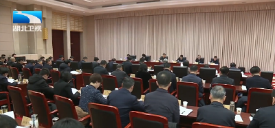 省旅游业发展领导小组会议在汉召开 孙伟主持并讲话