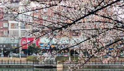 咸宁通山：一河碧水润山城 两岸锦绣惠民生