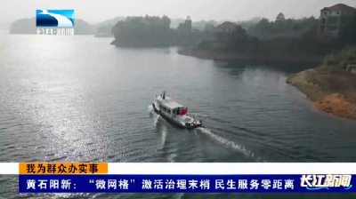 我为群众办实事|黄石阳新：“微网格”激活治理末梢 民生服务零距离