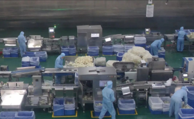 开门即冲刺！科技赋能，让湖北这一碗米粉香飘全国