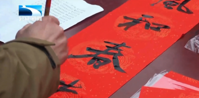 孝感应城：特色产品琳琅满目 游客赶集年货节