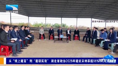 从“纸上建言”到“履职实效” 湖北省政协2025年建议采纳率超96%