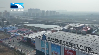 荆州：2026湖北网上年货节荆州启幕 五天盛宴享多重福利