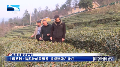 基层监督进行时丨十堰茅箭：清风护航茶飘香  监督赋能产业旺