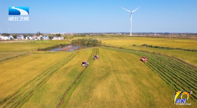 全球首创！稻田减排有了 “湖北标尺”