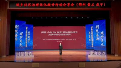 荆楚善治 建功支点 | 陈丽：“小老”助“老老” 银龄互助守望幸福