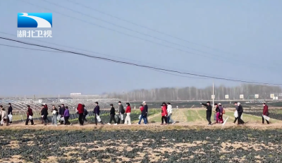 随县：用“乡味”和“乡居”圈粉都市客