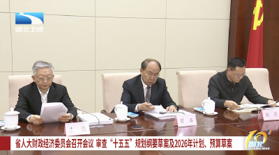 省人大财政经济委员会召开会议 审查“十五五”规划纲要草案及2026年计划、预算草案