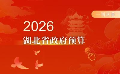 2026年湖北省政府预算报告解读