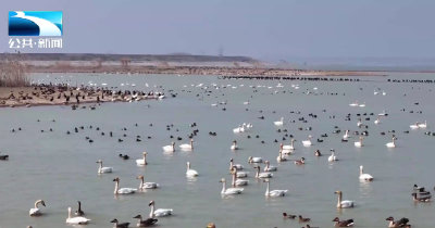 2026年1月17日长江新闻