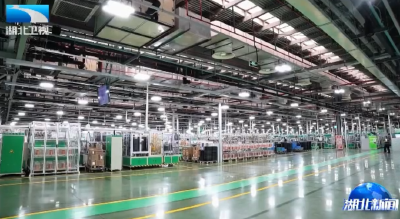 湖北首个！武汉一工厂入选全球人才灯塔工厂