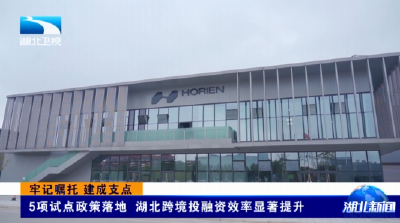 牢记嘱托 建成支点 | 5项试点政策落地 湖北跨境投融资效率显著提升