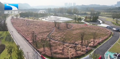 湖北获国家绿色发展基金48亿元投资