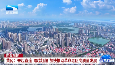 两会观察 | 黄冈：奋起直追 跨越赶超 加快推动革命老区高质量发展