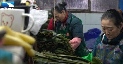 恩施鹤峰：“绿叶”变“金叶”  鹤峰箬叶出山忙