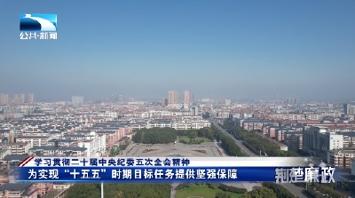 学习贯彻二十届中央纪委五次全会精神 | 孝感应城：凝心聚力抓落实  担当作为谱新篇