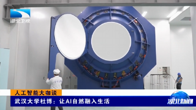 人工智能大咖谈 | 武汉大学杜博：让AI自然融入生活