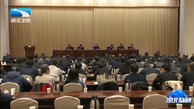 全省禁毒工作视频会议强调    巩固拓展禁毒斗争成果 推动禁毒工作再上新台阶