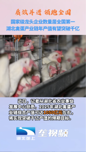 湖北禽蛋产业链年产值有望突破千亿