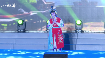 小牡丹—《雏凤临空》