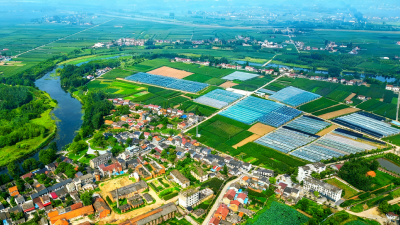 湖北当阳：全域整治“一支笔” 绘就平原古镇振兴新画卷