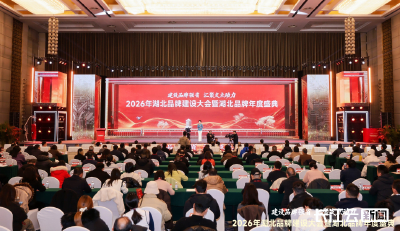 湖北品牌建设实现历史性跨越 总价值首破三万亿元大关