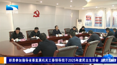 彭勇参加指导省委直属机关工委领导班子2025年度民主生活会