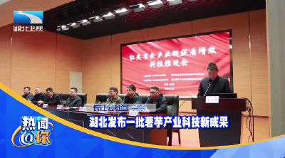 湖北发布一批薯芋产业科技新成果