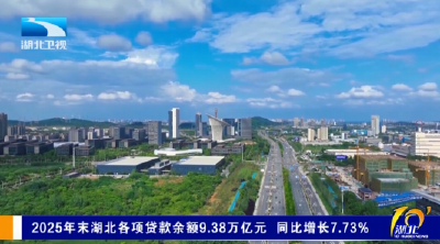 2025年末湖北各项贷款余额9.38万亿元 同比增长7.73%