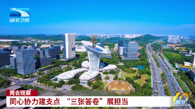 两会观察 | 同心协力建支点 “三张答卷”展担当